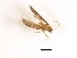  ( - RBCAD-2247)  @11 [ ] CreativeCommons - Attribution (2009) Unspecified Centre for Biodiversity Genomics