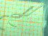  ( - BGE_00245_E08)  @11 [ ] Creative Commons BY-SA (2024) University of Bergen Natural History Collections