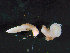  ( - BGE_00236_G08)  @11 [ ] Creative Commons BY NC SA (2025) University of Bergen Natural History Collections