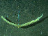  ( - BGE_00237_E05)  @11 [ ] Creative Commons BY NC SA (2025) University of Bergen Natural History Collections
