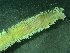  ( - BGE_00237_H09)  @11 [ ] Creative Commons BY NC SA (2025) University of Bergen Natural History Collections