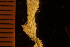  ( - BGE_00264_A09)  @11 [ ] Creative Commons  Attribution Non-Commercial Share-Alike (2025) NTNU University Museum, Department of Natural History NTNU University Museum, Department of Natural History