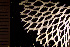 (Reteporella vitta - BGE_00264_H01)  @11 [ ] Creative Commons  Attribution Non-Commercial Share-Alike (2025) NTNU University Museum, Department of Natural History NTNU University Museum, Department of Natural History