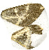 ( - AYK-06-7350)  @12 [ ] CreativeCommons - Attribution Non-Commercial Share-Alike (2011) Kim Mitter University of Maryland