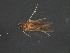  ( - RBCAD-1989)  @11 [ ] CreativeCommons - Attribution (2009) Unspecified Centre for Biodiversity Genomics