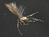  ( - RBCAD-2054)  @12 [ ] CreativeCommons - Attribution (2009) Unspecified Centre for Biodiversity Genomics