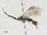  ( - 08JUN22-3M-1)  @11 [ ] CreativeCommons - Attribution Share - Alike (2024) CBG Photography Group Centre for Biodiversity Genomics