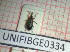  ( - BGE_00424_E01)  @11 [ ] CreativeCommons  Attribution Non-Commercial Share-Alike (2023) Claudia Bruschini UNIFI
