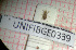  (Taeniapion rufescens - BGE_00424_E06)  @11 [ ] CreativeCommons  Attribution Non-Commercial Share-Alike (2023) Claudia Bruschini UNIFI