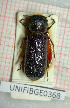  ( - BGE_00424_G11)  @11 [ ] CreativeCommons  Attribution Non-Commercial Share-Alike (2023) Claudia Bruschini UNIFI
