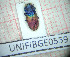  ( - BGE_00426_G12)  @11 [ ] CreativeCommons  Attribution Non-Commercial Share-Alike (2024) Claudia Bruschini UNIFI