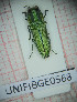  ( - BGE_00426_H09)  @11 [ ] CreativeCommons  Attribution Non-Commercial Share-Alike (2024) Claudia Bruschini UNIFI