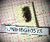  ( - BGE_00427_A05)  @11 [ ] CreativeCommons  Attribution Non-Commercial Share-Alike (2024) Adele Bordoni UNIFI