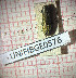  (Agrilus italicus - BGE_00427_A06)  @11 [ ] CreativeCommons  Attribution Non-Commercial Share-Alike (2024) Adele Bordoni UNIFI