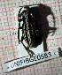  ( - BGE_00427_B01)  @11 [ ] CreativeCommons  Attribution Non-Commercial Share-Alike (2024) Adele Bordoni UNIFI