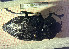  ( - BGE_00427_C06)  @11 [ ] CreativeCommons  Attribution Non-Commercial Share-Alike (2024) Adele Bordoni UNIFI