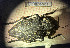  ( - BGE_00427_C08)  @11 [ ] CreativeCommons  Attribution Non-Commercial Share-Alike (2024) Adele Bordoni UNIFI