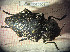  ( - BGE_00427_C10)  @11 [ ] CreativeCommons  Attribution Non-Commercial Share-Alike (2024) Adele Bordoni UNIFI