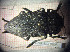  ( - BGE_00427_C11)  @11 [ ] CreativeCommons  Attribution Non-Commercial Share-Alike (2024) Adele Bordoni UNIFI