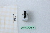  ( - BGE_00434_E02)  @11 [ ] CreativeCommons  Attribution Non-Commercial Share-Alike (2024) Adele Bordoni Università degli Studi di Firenze