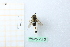  ( - BGE_00434_G10)  @11 [ ] CreativeCommons  Attribution Non-Commercial Share-Alike (2024) Adele Bordoni Università degli Studi di Firenze