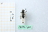 ( - BGE_00434_G12)  @11 [ ] CreativeCommons  Attribution Non-Commercial Share-Alike (2024) Adele Bordoni Università degli Studi di Firenze