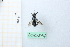  ( - BGE_00434_H03)  @11 [ ] CreativeCommons  Attribution Non-Commercial Share-Alike (2024) Adele Bordoni Università degli Studi di Firenze