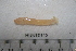  ( - HUNT0112)  @11 [ ] CreativeCommons - Attribution (2012) Unspecified Centre for Biodiversity Genomics