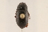  ( - 09BBCOL-1035)  @13 [ ] CreativeCommons - Attribution (2009) Unspecified Centre for Biodiversity Genomics