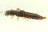  ( - 10BBCOL-0978)  @12 [ ] CreativeCommons - Attribution (2010) CBG Photography Group Centre for Biodiversity Genomics