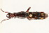  ( - 09BBCOL-0209)  @13 [ ] CreativeCommons - Attribution (2009) Unspecified Centre for Biodiversity Genomics