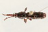  ( - 09BBCOL-0210)  @13 [ ] CreativeCommons - Attribution (2009) Unspecified Centre for Biodiversity Genomics