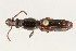  ( - 09BBCOL-0212)  @13 [ ] CreativeCommons - Attribution (2009) Unspecified Centre for Biodiversity Genomics