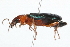  ( - 09BBCOL-0418)  @14 [ ] CreativeCommons - Attribution (2009) Unspecified Centre for Biodiversity Genomics