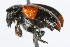  ( - 09BBCOL-0421)  @13 [ ] CreativeCommons - Attribution (2009) Unspecified Centre for Biodiversity Genomics