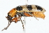  ( - 09BBCOL-0450)  @13 [ ] CreativeCommons - Attribution (2009) Unspecified Centre for Biodiversity Genomics