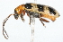  ( - 09BBCOL-0451)  @13 [ ] CreativeCommons - Attribution (2009) Unspecified Centre for Biodiversity Genomics