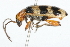  ( - 09BBCOL-0453)  @13 [ ] CreativeCommons - Attribution (2009) Unspecified Centre for Biodiversity Genomics