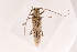  ( - 09BBCOL-0080)  @14 [ ] CreativeCommons - Attribution (2009) Unspecified Centre for Biodiversity Genomics