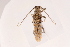  ( - 09BBCOL-0081)  @14 [ ] CreativeCommons - Attribution (2009) Unspecified Centre for Biodiversity Genomics