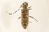  ( - 09BBCOL-0127)  @14 [ ] CreativeCommons - Attribution (2009) Unspecified Centre for Biodiversity Genomics