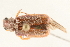  ( - 09BBCOL-0551)  @11 [ ] CreativeCommons - Attribution (2009) Unspecified Centre for Biodiversity Genomics