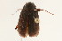  ( - 09BBCOL-0938)  @13 [ ] CreativeCommons - Attribution (2009) Unspecified Centre for Biodiversity Genomics