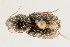  ( - 09BBCOL-0312)  @13 [ ] CreativeCommons - Attribution (2009) Unspecified Centre for Biodiversity Genomics