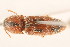  ( - 09BBCOL-0353)  @14 [ ] CreativeCommons - Attribution (2009) Unspecified Centre for Biodiversity Genomics