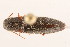  ( - 09BBCOL-0358)  @13 [ ] CreativeCommons - Attribution (2009) Unspecified Centre for Biodiversity Genomics
