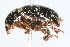 ( - 09BBCOL-0311)  @14 [ ] CreativeCommons - Attribution (2009) Unspecified Centre for Biodiversity Genomics