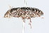  ( - 09BBCOL-0312)  @13 [ ] CreativeCommons - Attribution (2009) Unspecified Centre for Biodiversity Genomics