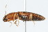  ( - 09BBCOL-0351)  @13 [ ] CreativeCommons - Attribution (2009) Unspecified Centre for Biodiversity Genomics
