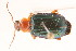  ( - 09BBCOL-0418)  @14 [ ] CreativeCommons - Attribution (2009) Unspecified Centre for Biodiversity Genomics